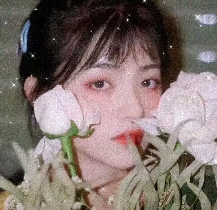 社畜向前冲