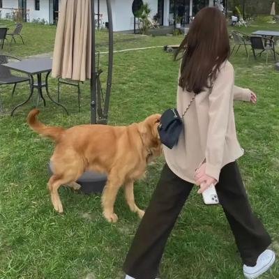 小熊与我